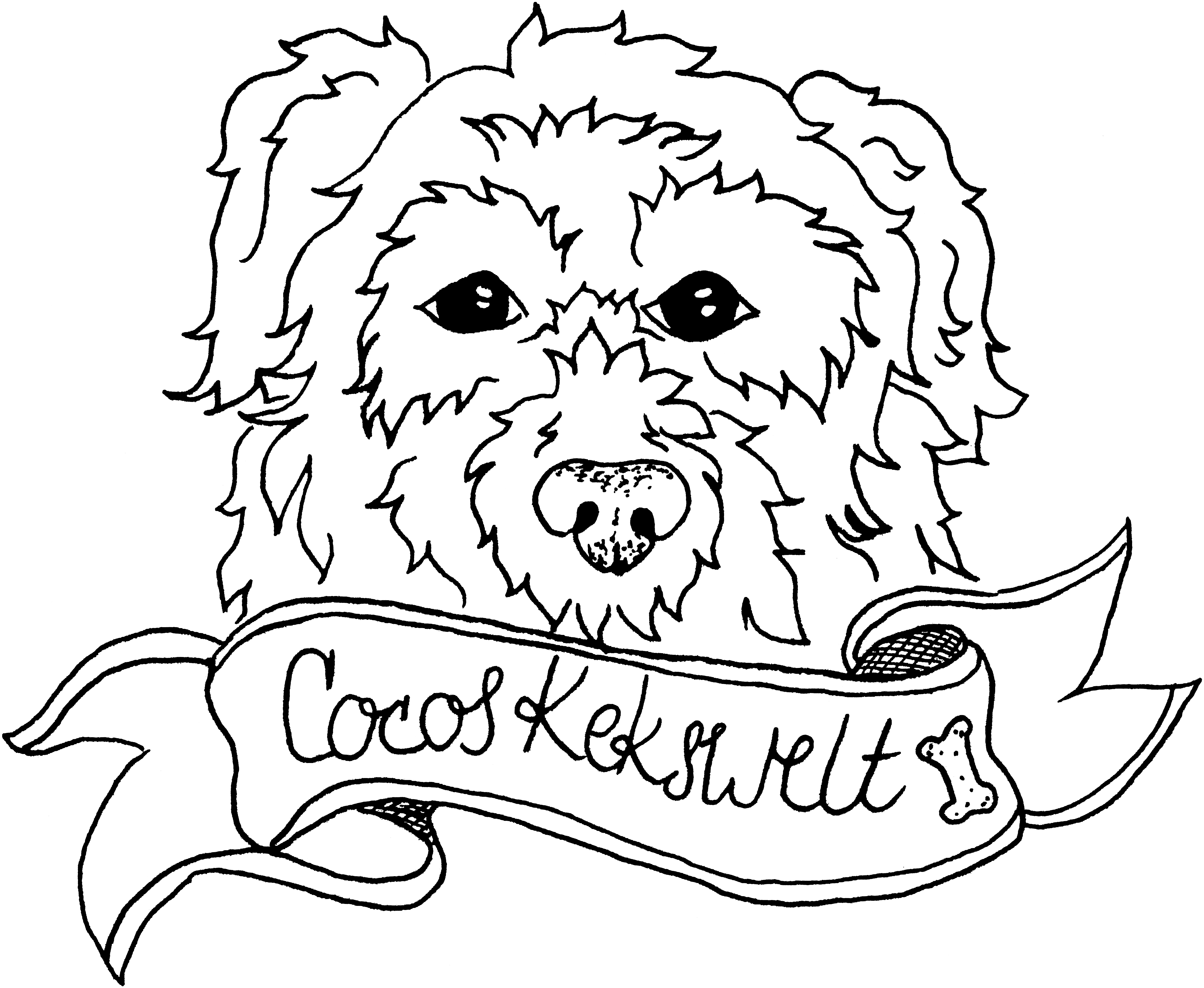 Cocos-Kekswelt